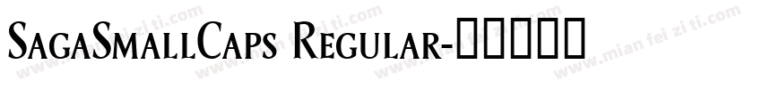 SagaSmallCaps Regular字体转换